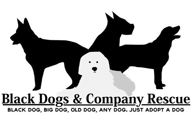 black dogs and company logo